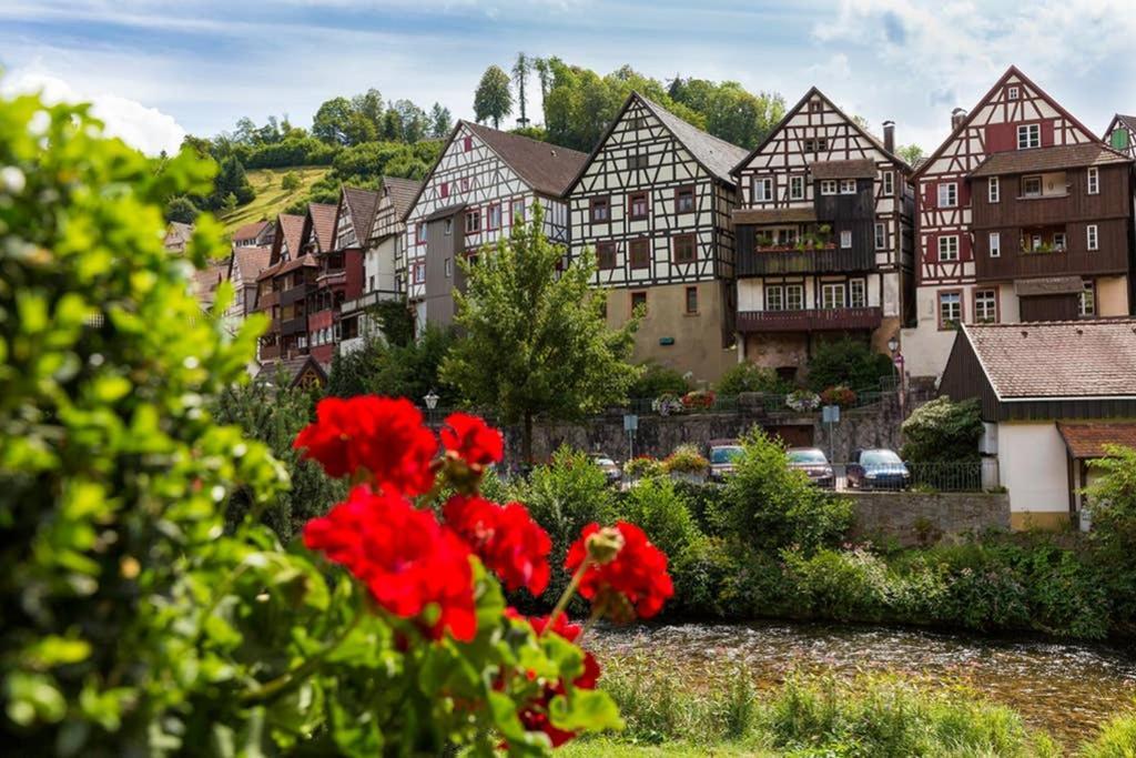 Apartament Haus Sieber - Familie Link Schiltach Zewnętrze zdjęcie
